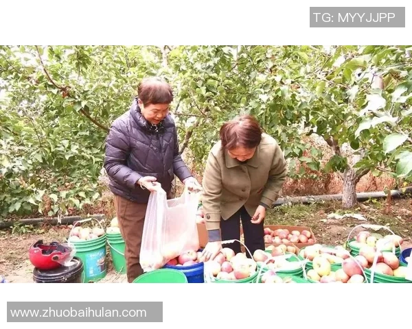 果园采摘之旅：体验丰收季节的自然魅力与农田乐趣